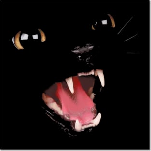 Cat Posters and Art
